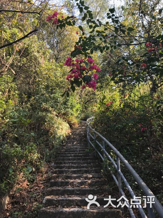 小浮莲休闲登山径图片 - 第5张