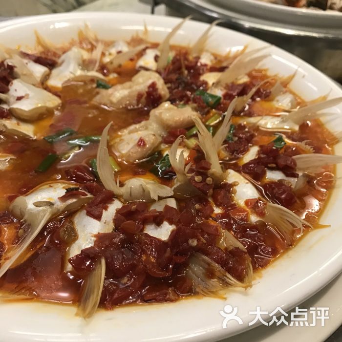 鱼鳍肉