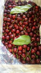 云兮果乐(香槟国际店)怎么样,好不好的默认点评