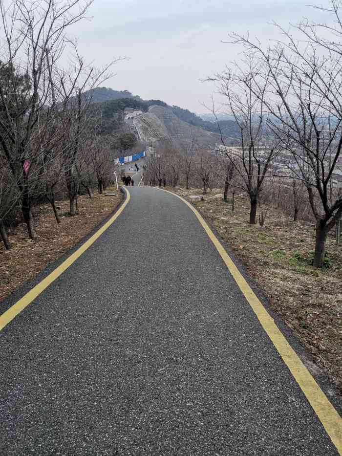 舜过山森林公园"本来是奔着查家湾来的,走到深处才发现完全.