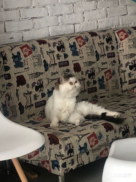 伟德国际福建懒喵星球国际贸易有限公司招聘