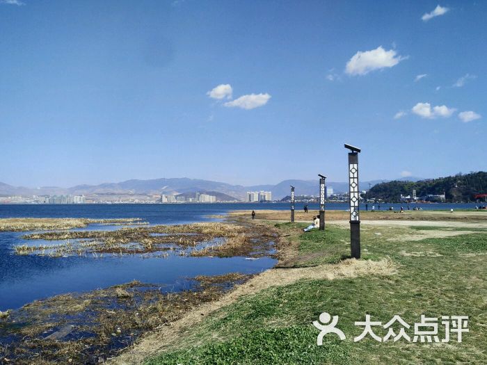 洱海月湿地公园图片 - 第326张