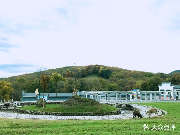 森工平山神鹿旅游区图片 - 第363张