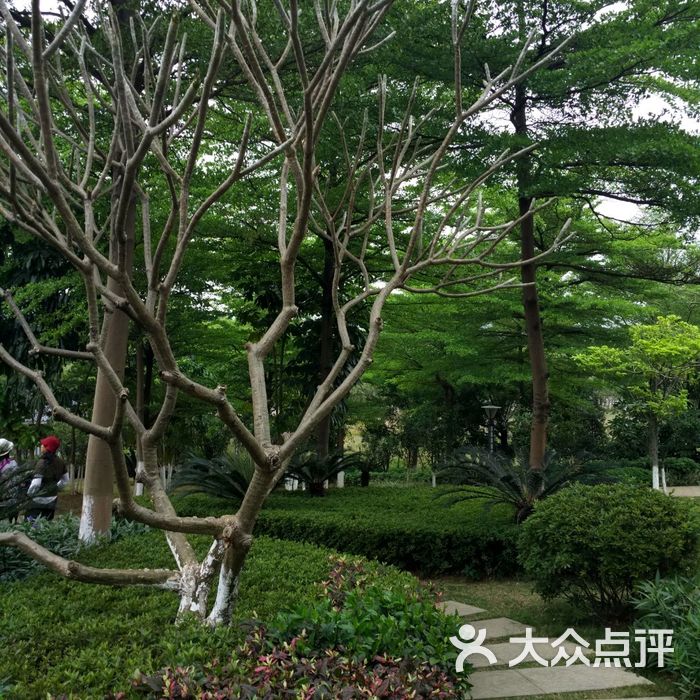 揽胜园