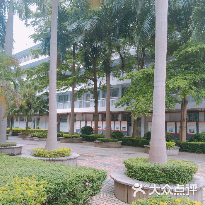 深圳市龙岗职业技术学校图片 - 第4张