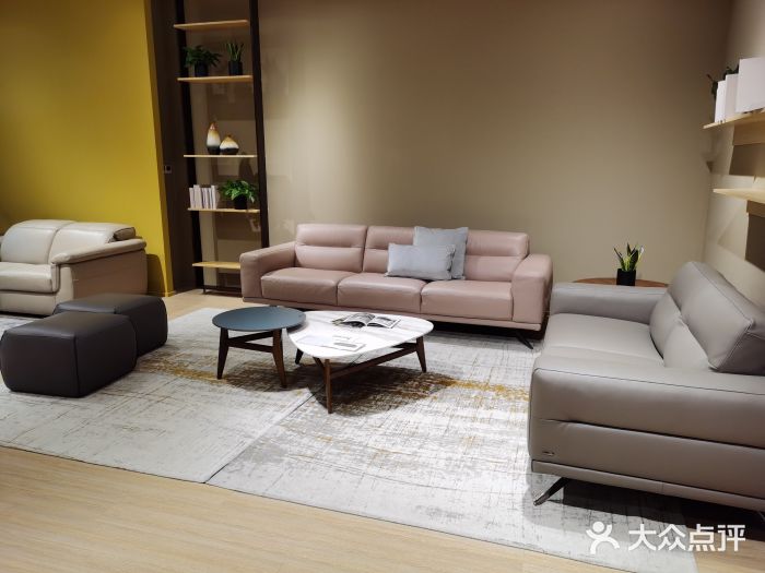 natuzzi editions意迪森(陆家嘴店)图片