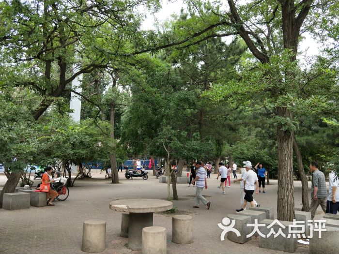 兴华公园-图片-沈阳周边游-大众点评网