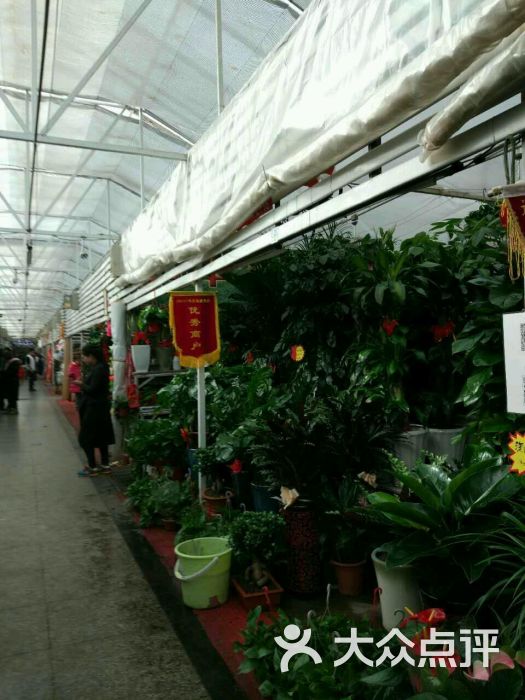 通厦花卉批发市场-图片-北京购物-大众点评网