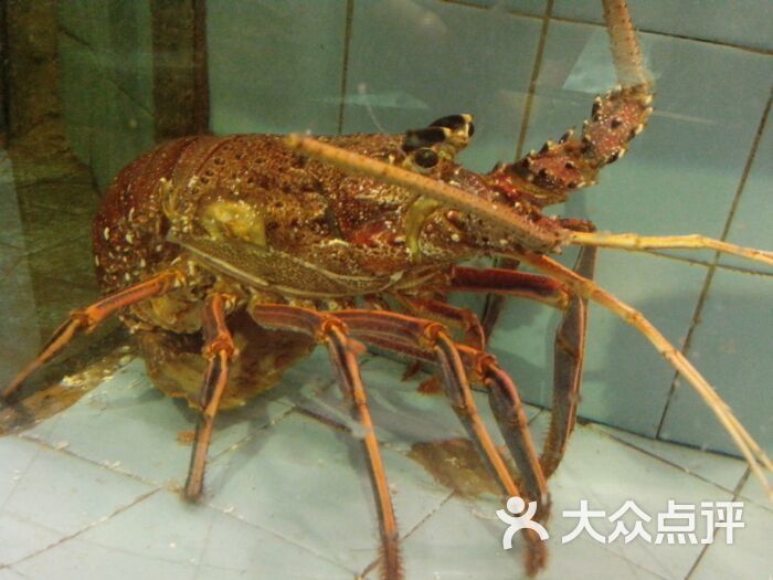 长沙徐记海鲜菜单_湖南大学_湖南徐记海鲜(4)