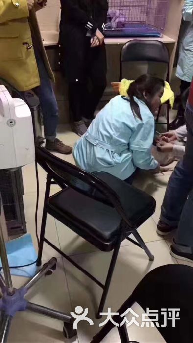 望康动物医院(朝阳北路医院)-图片-北京宠物