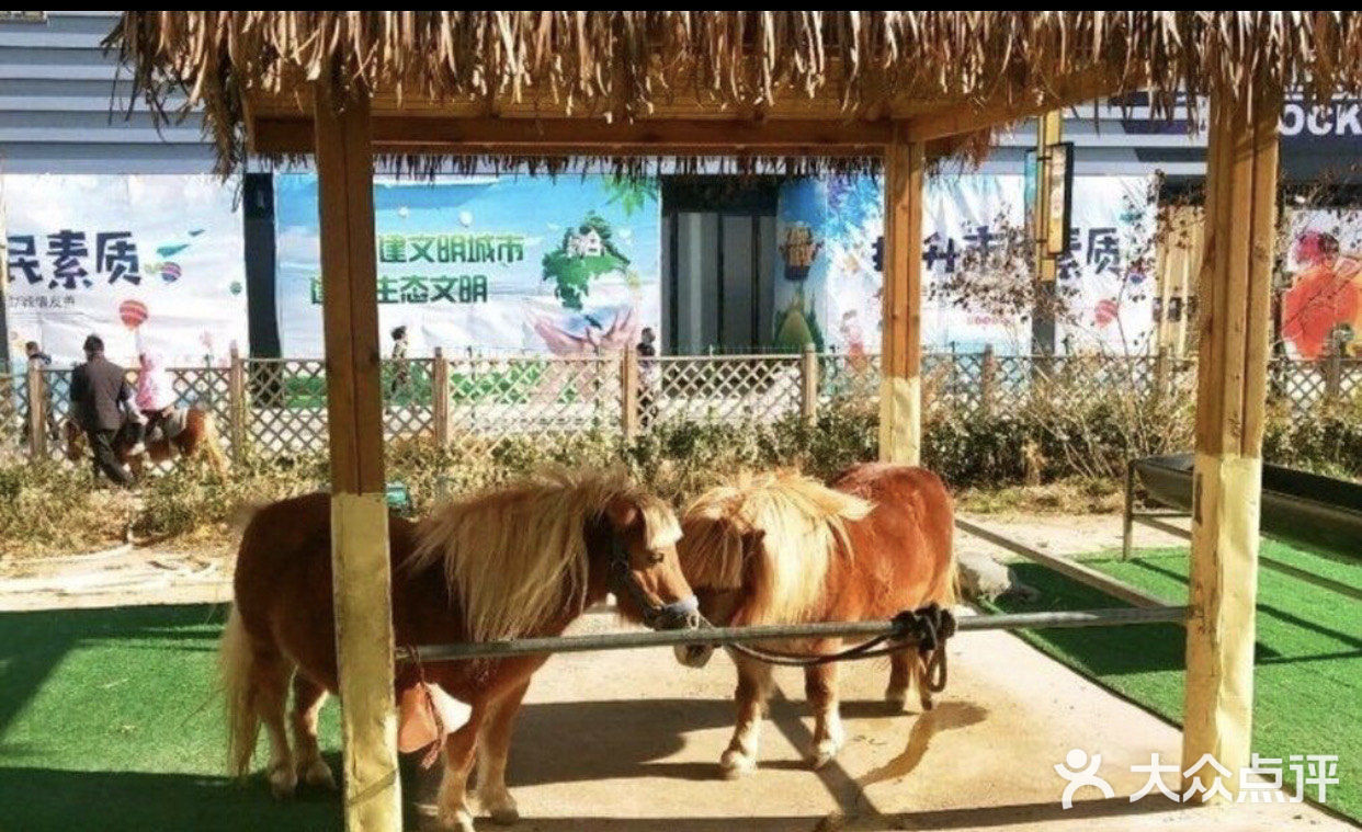 万达广场亲子动物乐园,里面的动物也太萌了