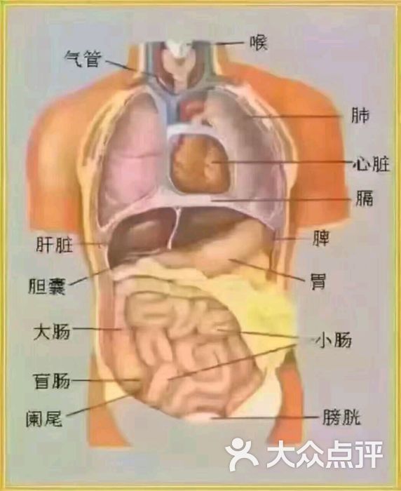 表示人体血液流经某器官,a,c表示血管,b表示器官,箭头代表血流方向