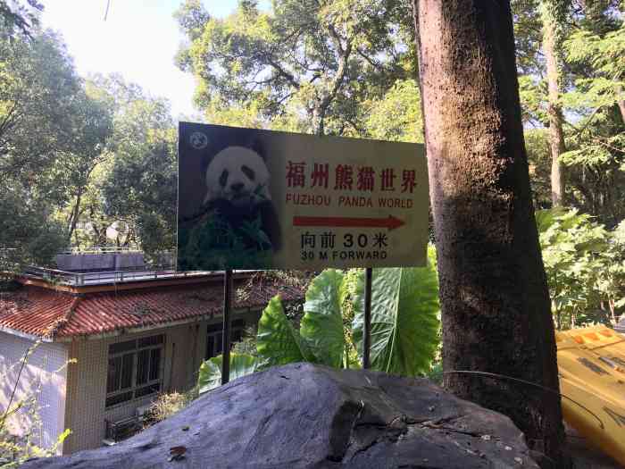 海峡福州熊猫世界