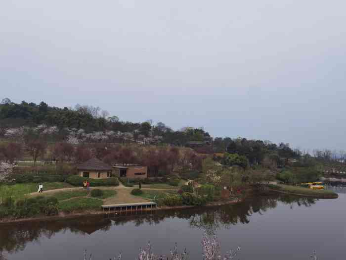 天坪山云林天乡景区-"天坪山云林风景区位置在巴南区.