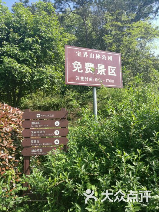 宝界山林公园图片 - 第298张