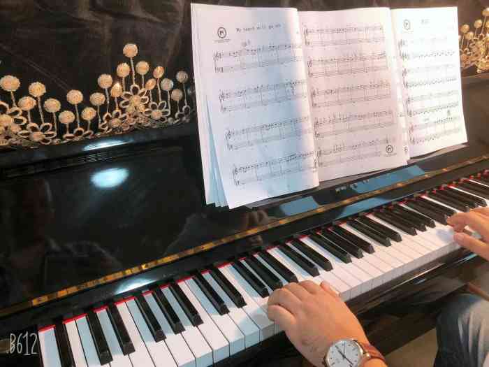 moodmusic钢琴(星湖街店)-"mood国际成人钢琴93,位于乐嘉大厦的.