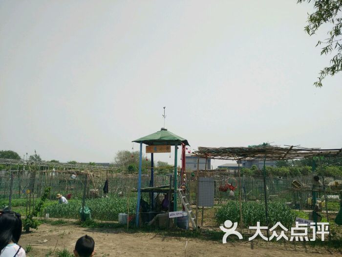 南苑小镇农场图片 - 第58张