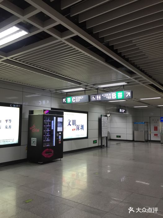 翠竹地铁站图片 第14张