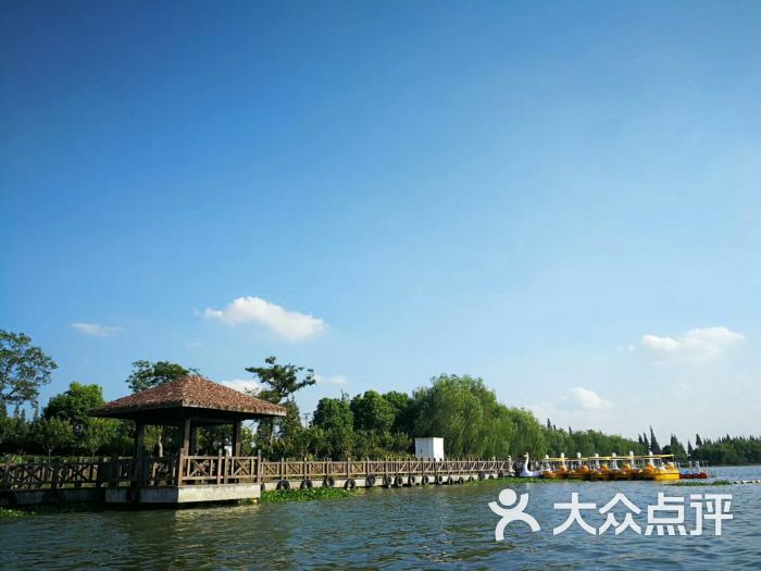青西郊野公园景点图片 - 第4张