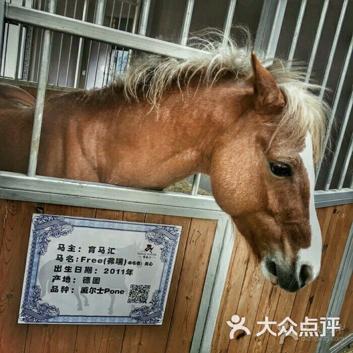 嗨嗨珍姐上传的图片