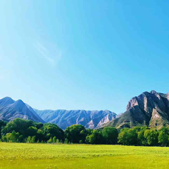 云顶山风景区-"云顶山风景区在阿干镇一带,是徒步的好