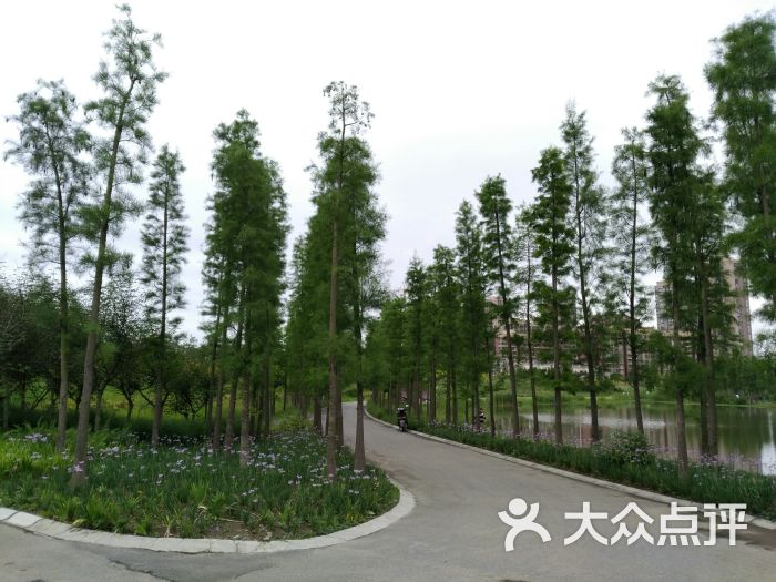 香城湿地公园图片 第9张