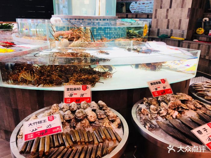 万龙洲海鲜大酒楼(望京店)图片