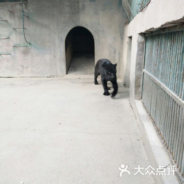 兰州市动物园