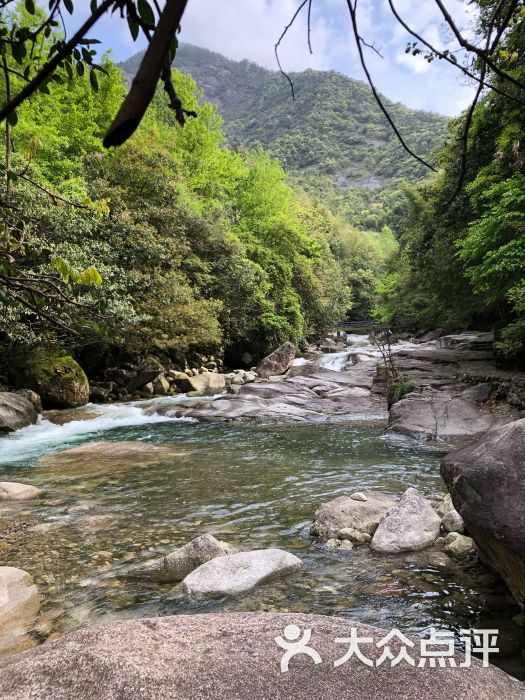 大鄣山卧龙谷景区图片 - 第42张