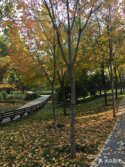 北极寺公园图片 - 第55张