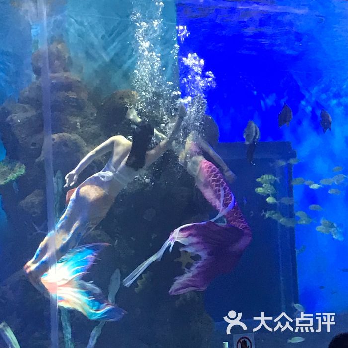 昆明花都·海洋世界图片-北京海洋馆-大众点评网