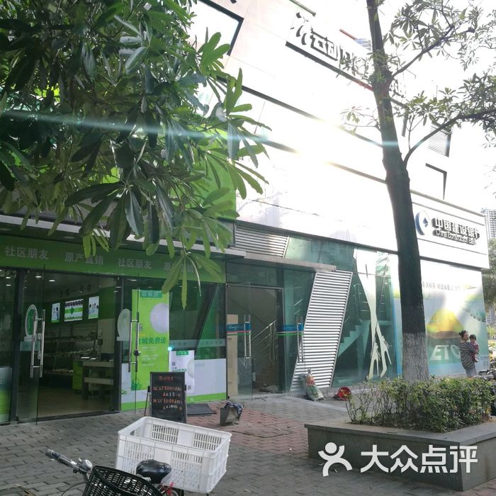 番薯藤