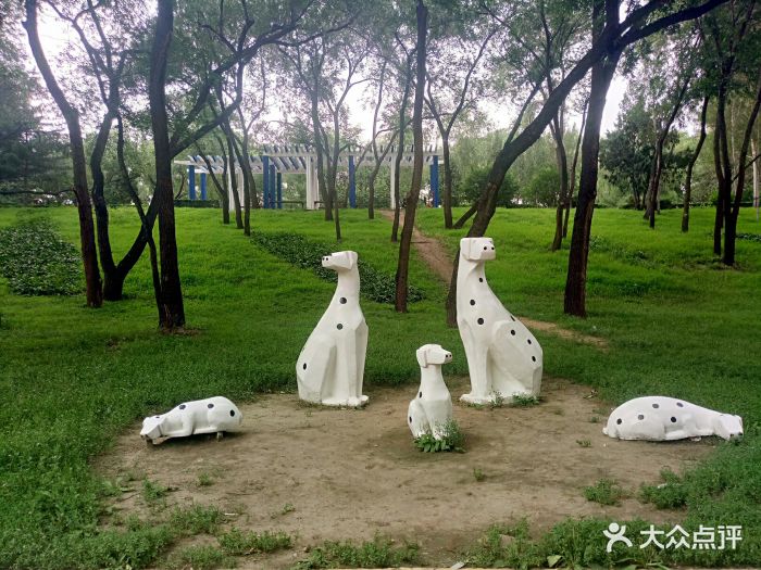 顾乡公园图片 - 第4张