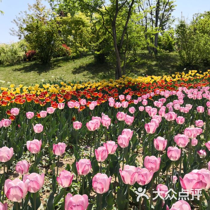 西安植物园新区