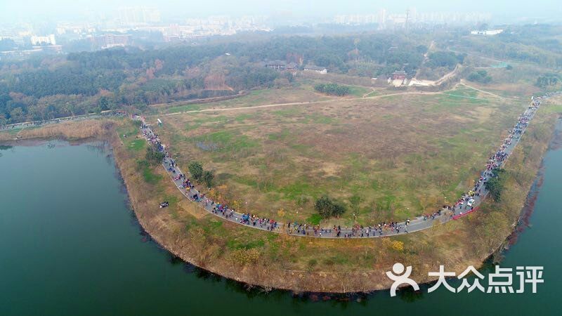 青龙湖湿地公园图片 - 第6张