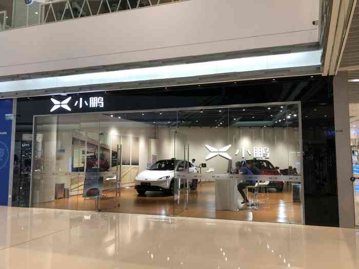 小鹏汽车(大悦城体验店)