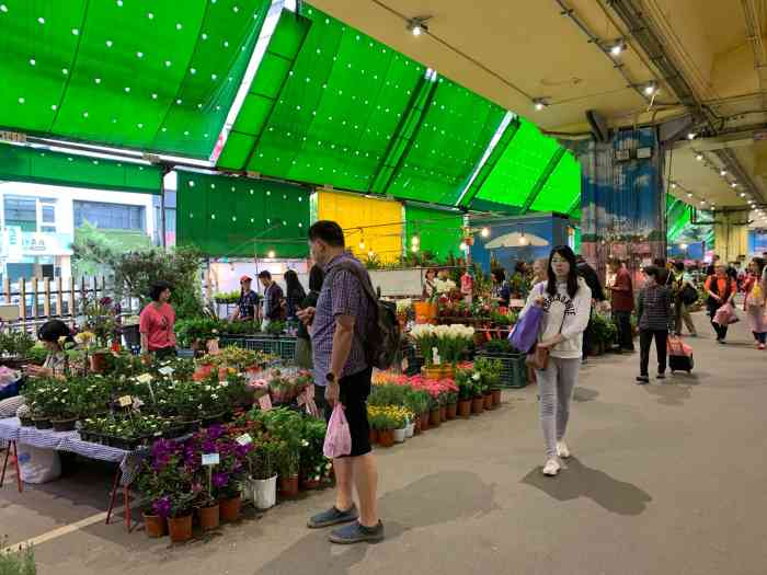 建国假日花市-"我一直以来都很热爱莳花弄草,不管是闲
