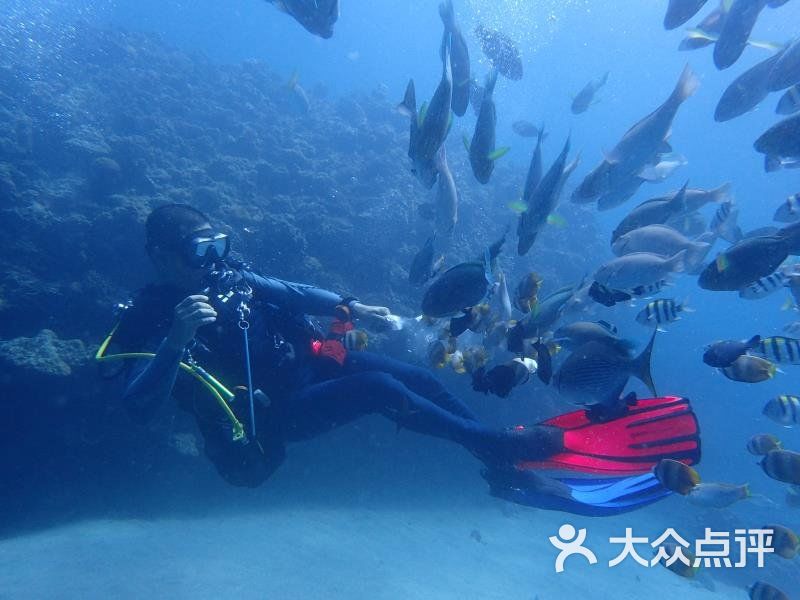 海天逸帆潜水游泳俱乐部