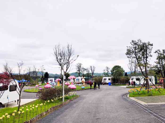 安居黄家坝湿地公园