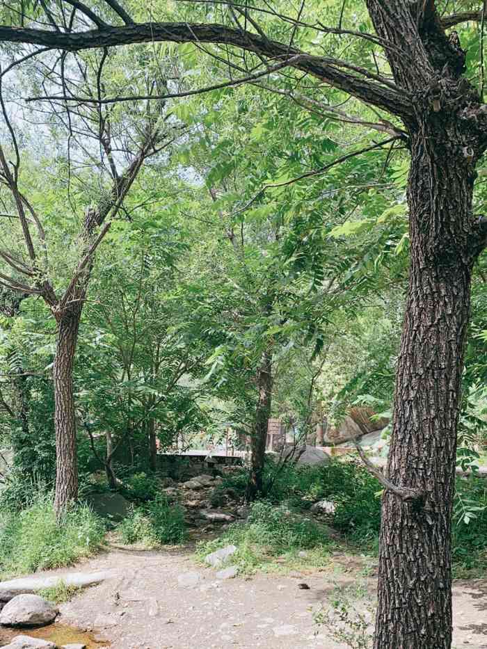 神堂峪自然风景区-"门票35一人,里面还比较好玩,跟普.