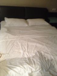 025-82220441 15062227772是什么电话-三毛