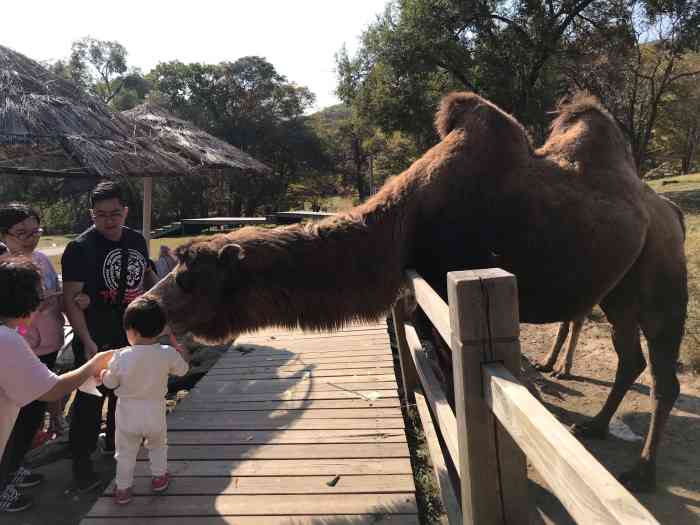 森工平山神鹿旅游区