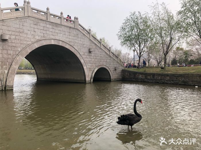 同济大学浙江学院-图片-嘉兴学习培训-大众点评网