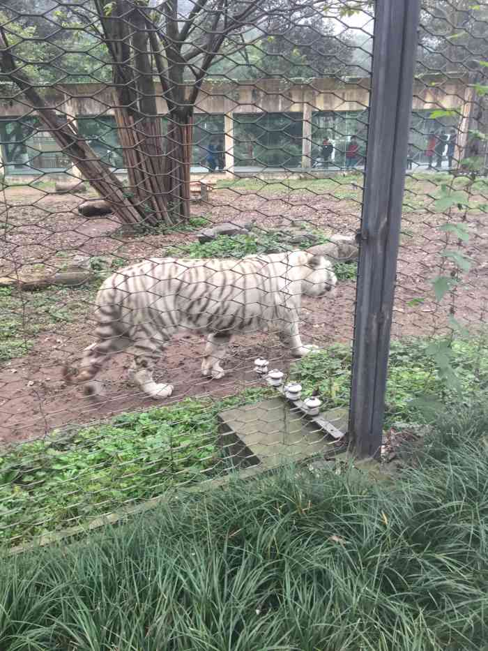 西山公园-动物园-"来重庆旅游,如果看景点的话可以来.