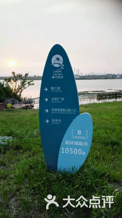 贡湖湾湿地公园图片 - 第39张