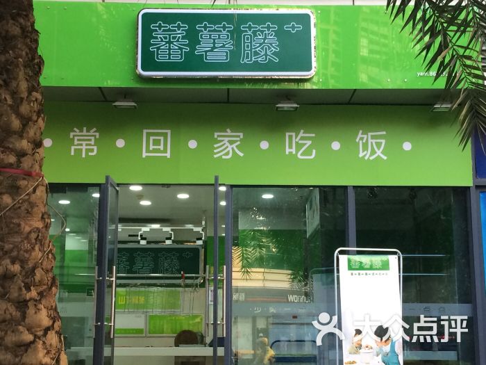 蕃薯藤图片 第2张