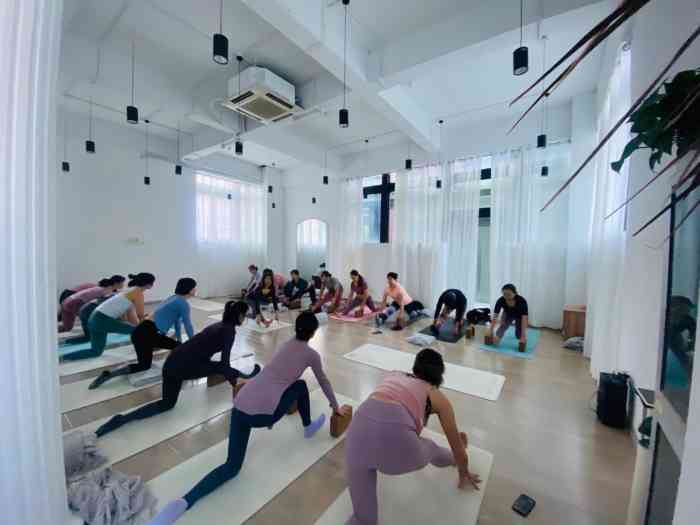 viva yoga-"一家很可爱的瑜伽馆,费用小贵,不过环境布