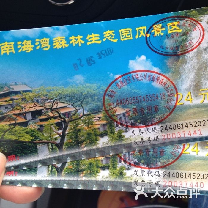 南海湾森林生态园
