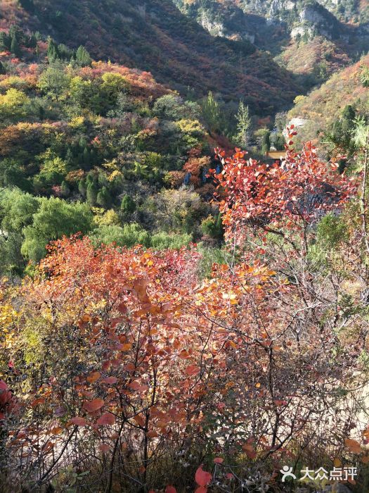 仙台山风景区图片