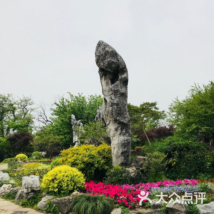 三星石